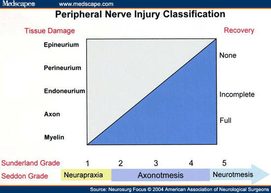 Medscape.com