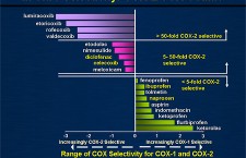 NSAID COX1 and COX2 ratio